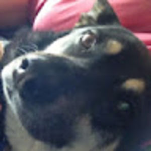 Meet your Posher, Rayleigh